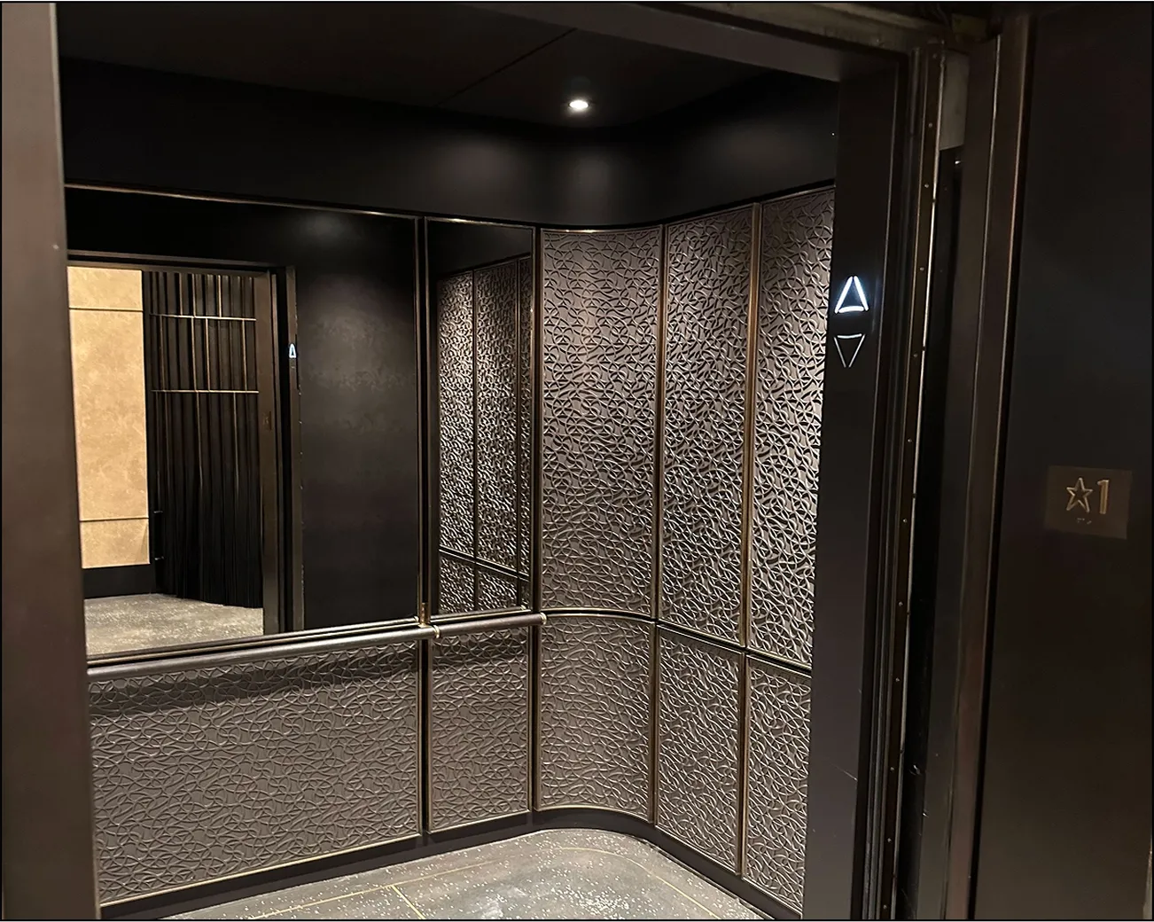 edi-custom-residential-elevators-orignal-work-of-art-80-@2x